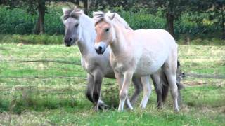 MVI_1649.AVI