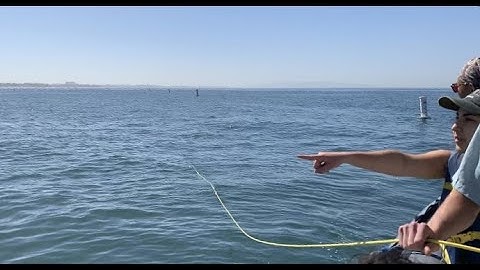 UCLA TBF Practicum Team