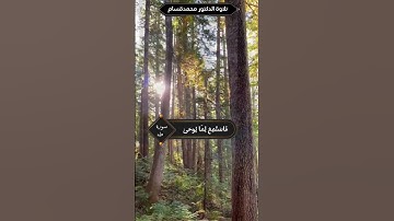 سورة طه الآية 12إلى14 #قرآن#قرآن #قرآن  #القران_الكريم_دواء_القلوب #قرآن #قرآن #قرآن #القرآن#القرآن