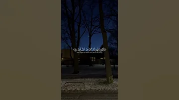 رب هب لي حكما وألحقني بالصالحين أد ياسر الدوسري 