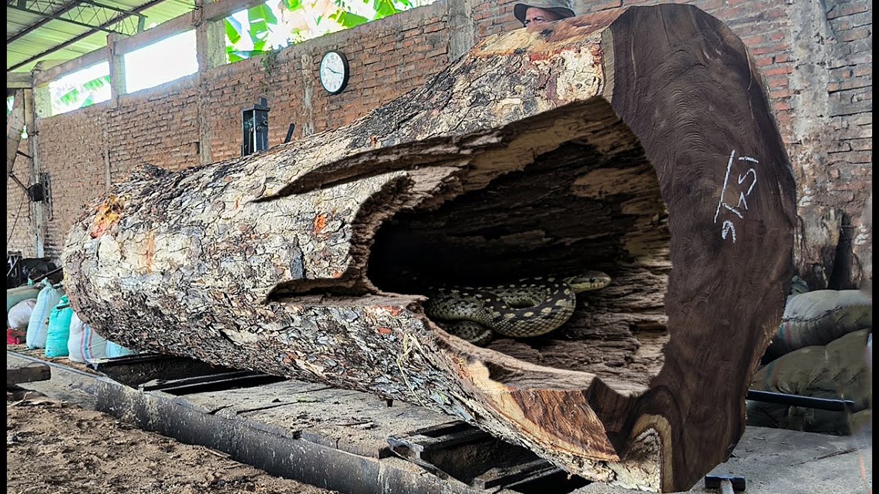 Damaged Wood Causes Big Trouble ‼️ Disappointing Sawmill Action - YouTube