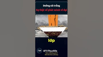 Đường cát trắng Sự thật về phát minh vĩ đại #DuongCatTrang #QuyTrinhSanXuat #KhamPha #KienThucMoi