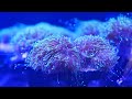 Music Emchisun : Music Emchisun: Music to welcome the new day - music for the soul, relaxing music