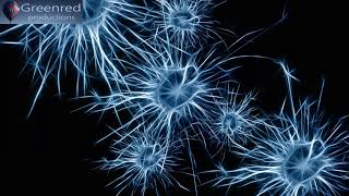 Super Intelligence: Memory Music, Focus Music with 14 Hz Binaural Beats, Concentration Music screenshot 5