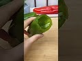 Video Image