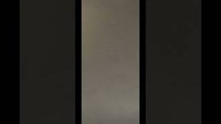 Music Video Farts From Matt By Your Favorite Girl River Coming Soon