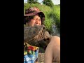 カミツキガメにかまれるとこうなる