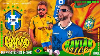 FORRÓ DU GAVIÃO - NA COPA 2026 - AUDIO VISUAL