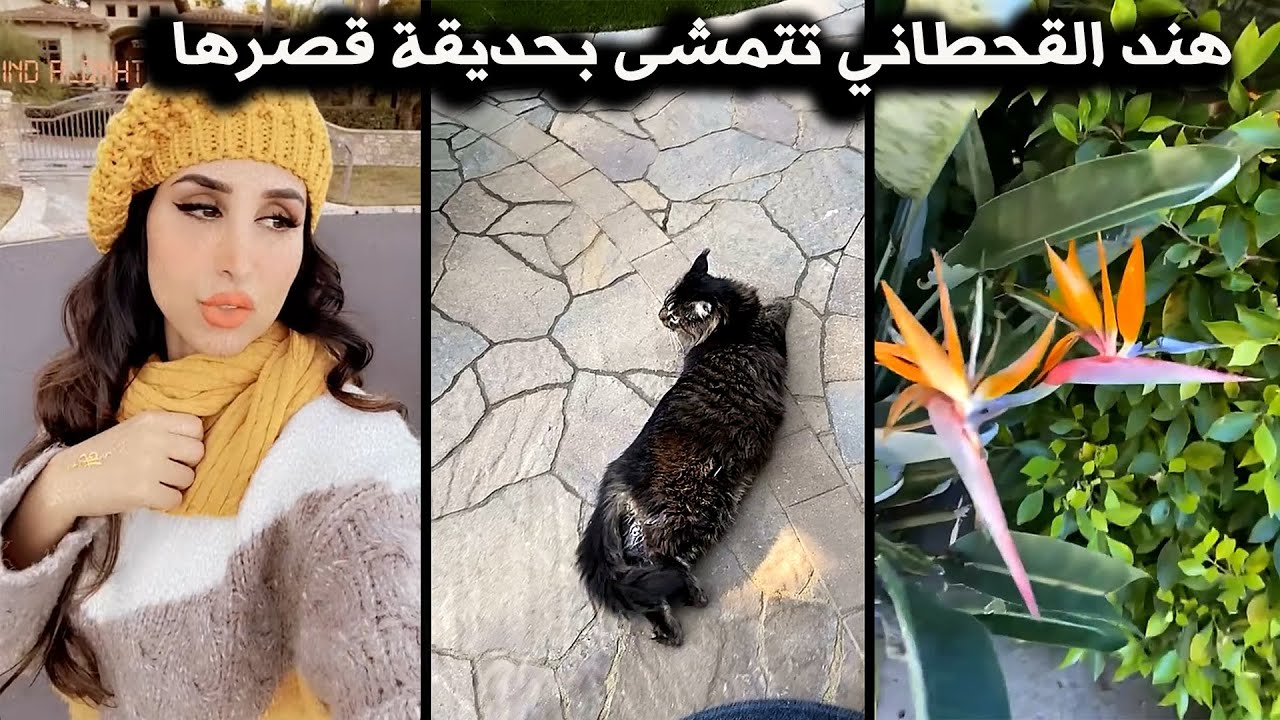 هند القحطاني وروتينها الصباحي في حديقة قصرها مع القط 🏡😻