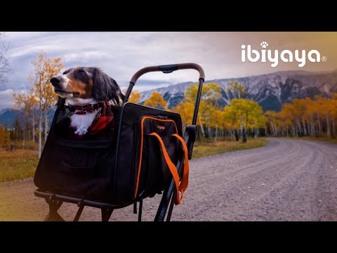 JetPaw 5in1 Expandable Pet Carrier Airline Approved Dog Cat Backpack Hand Carry Bag Ibiyaya