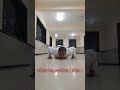 Clapping Pushups 🦾🥋✌️ #shortvideo #workout #clips #strength #training #youtubeshorts #ytshorts #reel