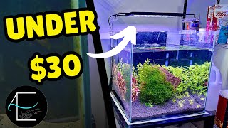 1 Month of the Hygger HG-999 24/7 Light