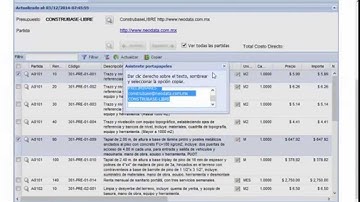 ConstruBase Nube - Copiado de conceptos e importación de matrices a Neodata PU