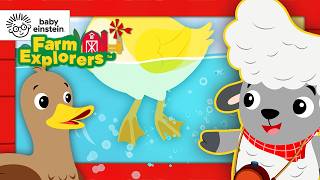 new let s explore swimming ducklings farm explorers season