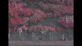 Sleep Token - Isolated Drums From Infinite Baths
