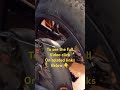 Fixing a flat on an ebike without removing the motor