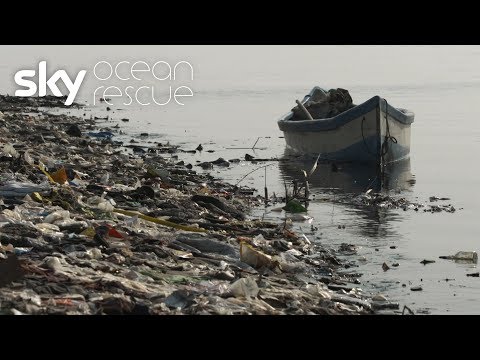 Special report: A Plastic Tide | #OceanRescue