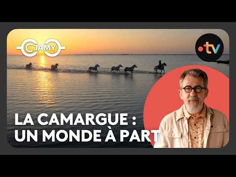 Bienvenue en Camargue : Flamants roses, taureaux et chevaux blancs - C Chaud - C Jamy