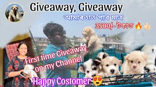 First time Giveaway on My YouTube Channel ❤ #youtubeindia #giveaway #puppies