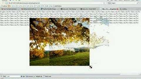 drag-drop and resize picture