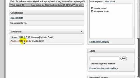 Wordpress Tutorial 30: How To Revert To A Previous Draft