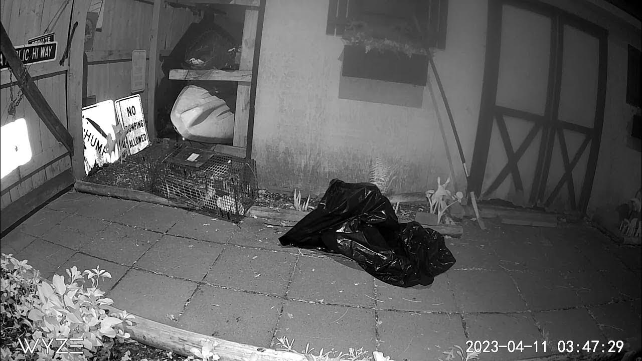 Harbor freight animal trap 👎🏻👎🏻👎🏻👎🏻 YouTube