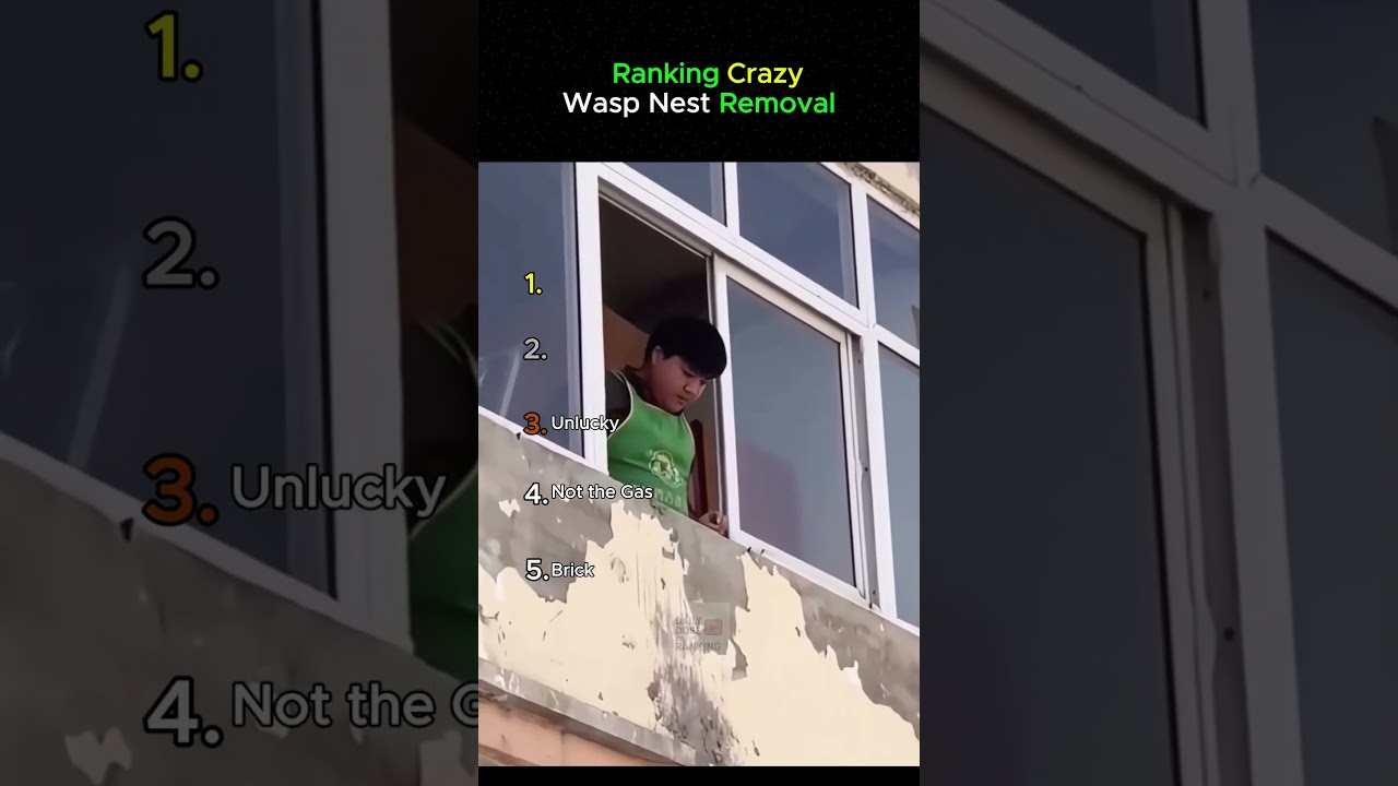Ranking Crazy Wasp Nest Removal Moments