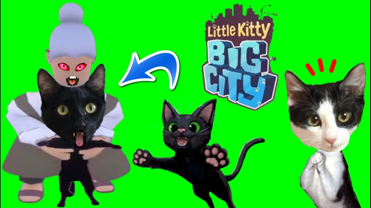 GATO ESCAPA DE LA ABUELA RITA jugando a LITTLE KITTY BIG CITY en español vs gatitos Luna y Estrella