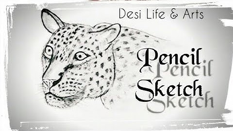 How to Draw Leopard with pencil/big cat sketch/ side view/ Leopard easy Draw Tuorial