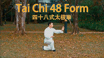 Tai Chi 48 Form 48式太极拳