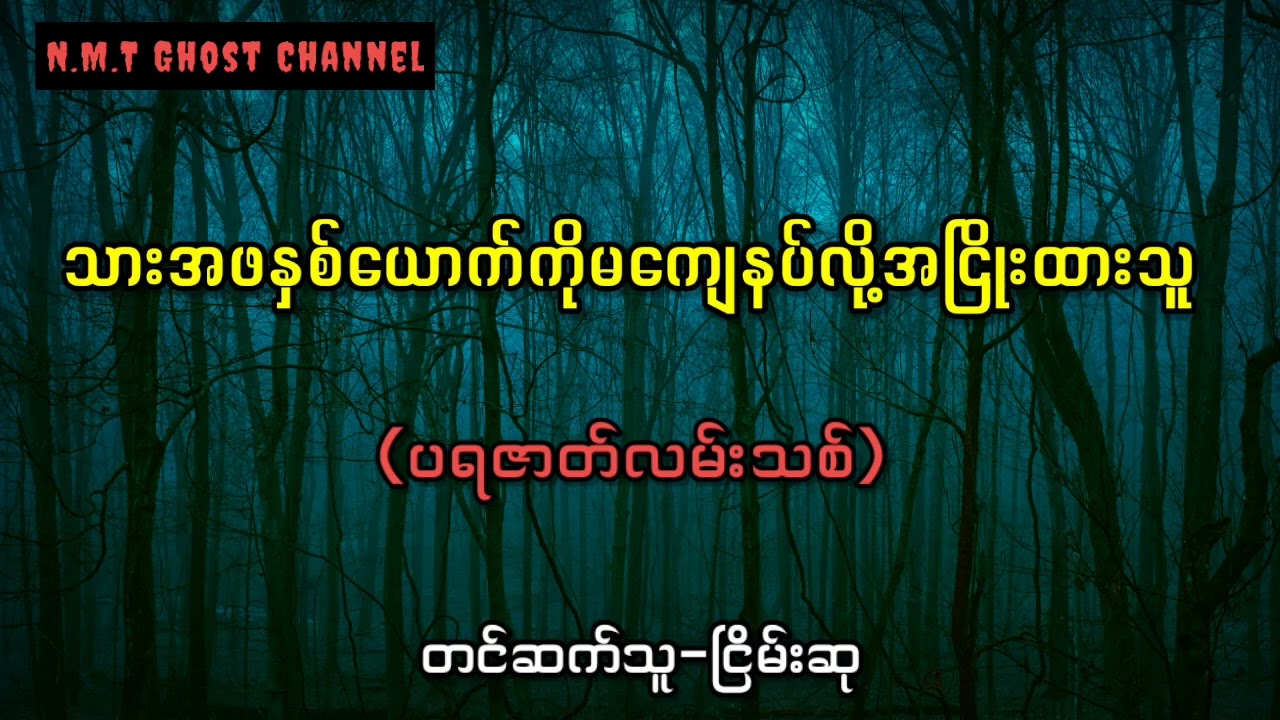 သားအဖနှစ်ယောက်ကိုမကျေနပ်လို့အငြိုးထားသူ(ပရဇာတ်လမ်းကောင်း)