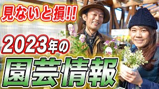 【園芸最新情報】W店長の本音爆発！2023年”お買い得"情報をプロが紹介します！【ガーデニング】【先取り】