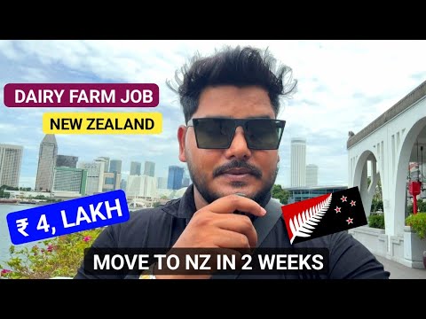 New Zealand 🇳🇿 Dairy Farm Jobs 2025 | Work Visa in 2 Weeks | No IELTS | Salary Apply Process