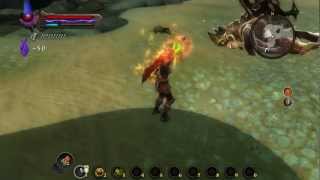 Kingdoms of Amalur Reckoning - Damage Immunity