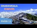 Hành hương Phật tích Ấn Độ 2/2020 | Phần cuối: Dharamsala - Himalaya