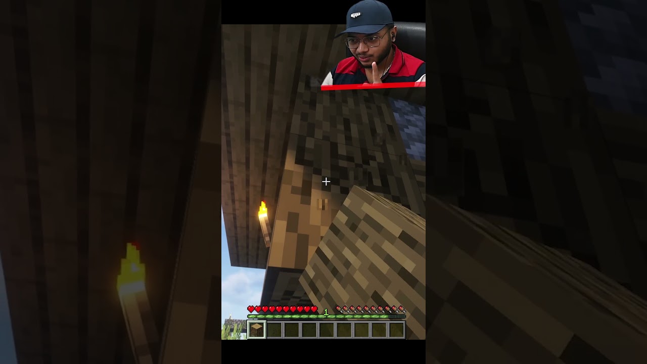 Minecraft, But Every Subscriber Ends My Game!