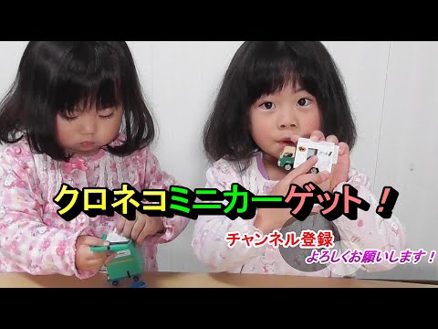 クロネコヤマト感謝祭と、魚祭りにin佐渡