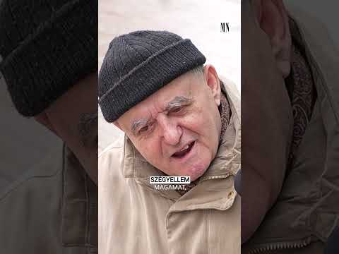 'A bántalmazó Magyar