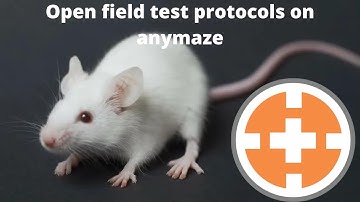 Open field test protocols on any maze