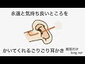 【ASMR】永遠と気持ち良い所をかいてくれるごりごり耳かき 両耳だけ Ear Cleaning【No Talking】