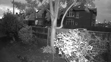 Netatmo Presence Smart Outdoor Security Camera Sample Footage