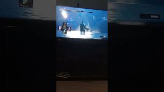 Ds1/epi think 15/battle with fire sage demon