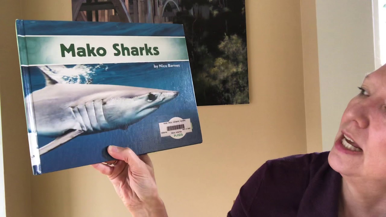 Mako Sharks YouTube