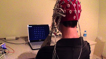 An Online Session of P300 speller based BCI Utilizing Language Model