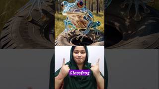 Literal Vs Reality English Compound Words Part219