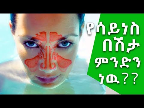 ቪዲዮ: ለአለርጂ በሽተኞች ምን ዓይነት ውሻ ተስማሚ ነው