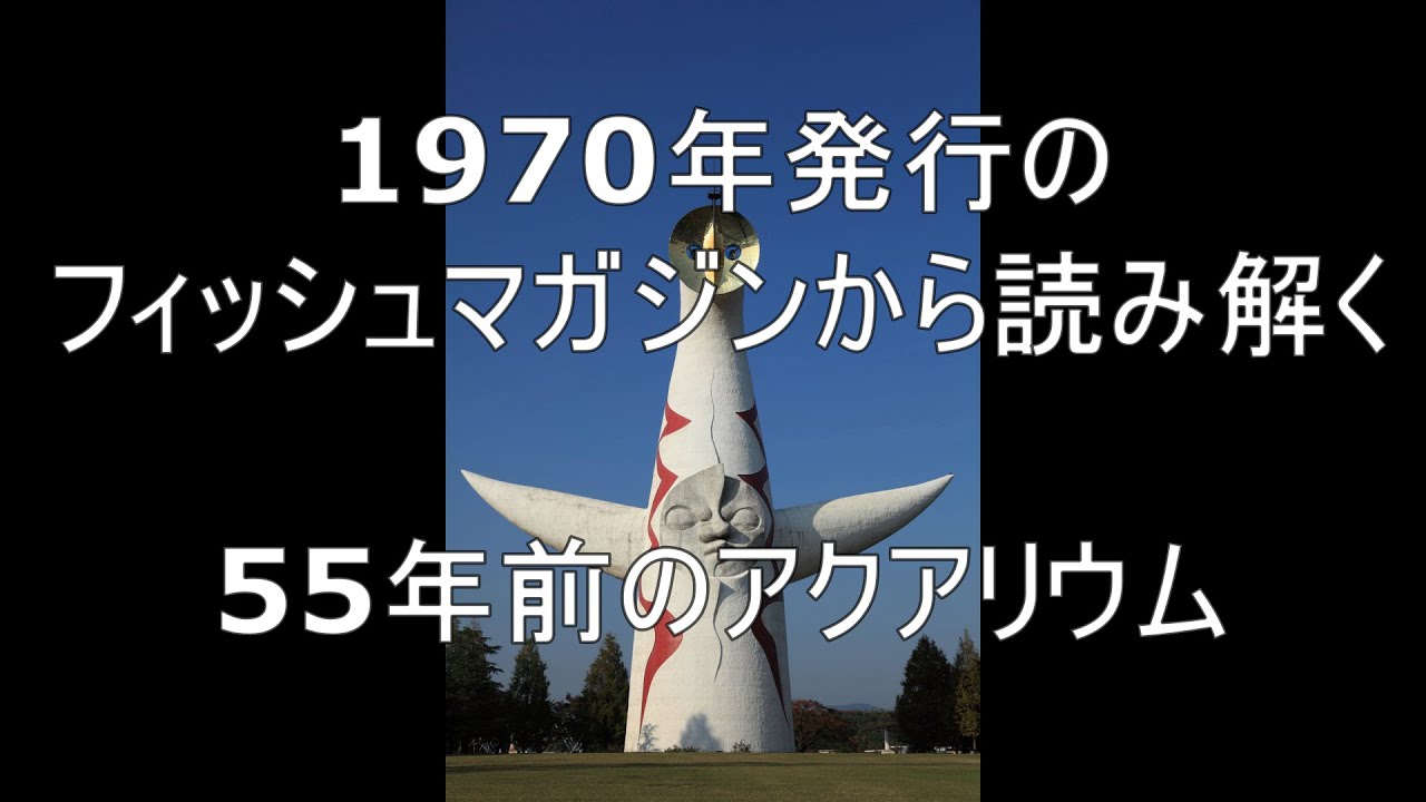 イ*3様 月刊フィッシュマガジン 1979年6月号～1981年2月号 昭和54～ フィッシュマガジン｜定期購読 - 雑誌のFujisan