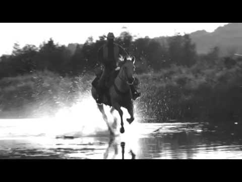Johnny Cash - Tennessee Stud