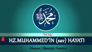 MUSTAFA DEMİRCİ \