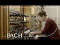Bach - Partite Diverse Sopra BWV 770 - Te Lindert | Netherlands Bach Society